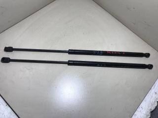 амортизатор крышки багажника (3-5 двери) Renault Scenic 1 поколение [рестайлинг] 2001, 1.9 л., дизель, МКПП, минивэн