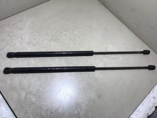 амортизатор крышки багажника (3-5 двери) Ford C-Max C-max 1 2009, 1.8 л., дизель, минивэн