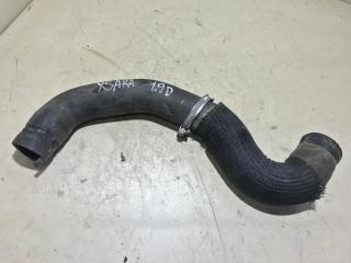 патрубок радиатора Citroen Xsara Picasso 1 поколение 1999, 1.9 л., дизель, универсал