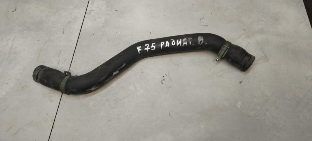 патрубок радиатора Renault Scenic 1 поколение 1998, 1.9 л., TD, дизель, МКПП, минивэн - фото №1