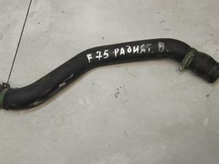 патрубок радиатора Renault Scenic 1 поколение 1998, 1.9 л., TD, дизель, МКПП, минивэн