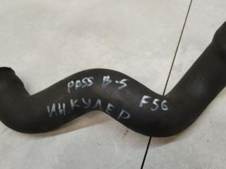 патрубок интеркулера Volkswagen Passat B5 2000, 1.9 л., дизель, МКПП, седан