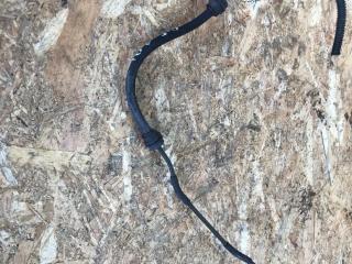 трубка (шланг) сцепления Citroen C5 1 поколение 2002, 2.0 л., бензин, хетчбэк 5 дв.