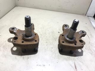 Цапфа задняя (ось ступицы) Renault Scenic 1 поколение [рестайлинг] 2001, 1.9 л., дизель, МКПП, минивэн