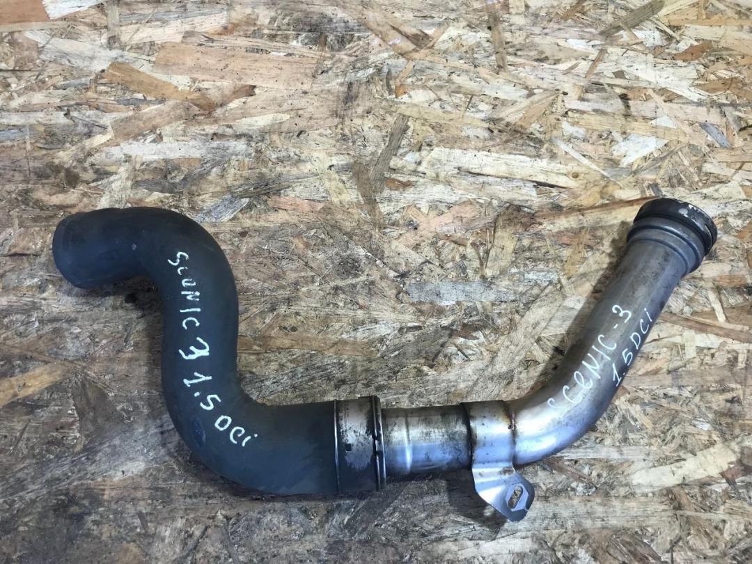 патрубок радиатора Renault Grand Scenic 3 поколение 2012, 1.5 л., DCi, дизель, МКПП, минивэн - фото №1