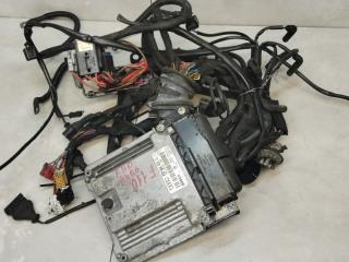 проводка двигателя Audi A4 B6 2003, 1.9 л., дизель, МКПП, универсал