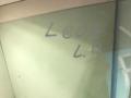 стекло двери передней левой SEAT Leon 2 поколение 2009, 1.9 л., дизель - фото №3