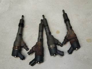 форсунка Citroen C5 1 поколение 2002, 2.0 л., дизель, МКПП, хетчбэк 5 дв.