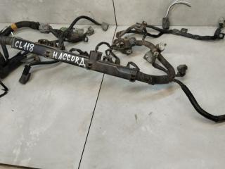 проводка двигателя Honda Accord 6 поколение 1999, 1.8 л., бензин, МКПП, седан