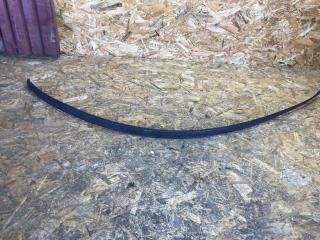 молдинг крыши Renault Scenic 1 поколение [рестайлинг] 2000, 1.6 л., бензин, МКПП