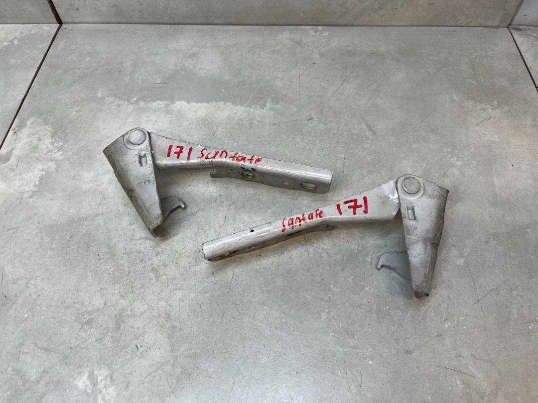 петля капота Hyundai Santa Fe 1 поколение (SM) 2002, 2.0 л., дизель, АКПП