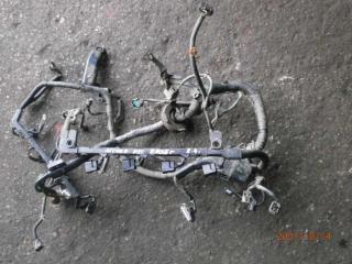 проводка двигателя Honda Accord 7 поколение 2005, 2.4 л., бензин, K24A3