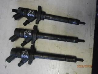 форсунка Peugeot 407 1 поколение 2006, 1.6 л., HDi, дизель, 0445110259