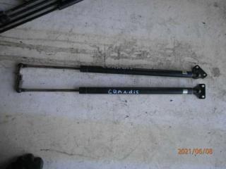 амортизатор крышки багажника (3-5 двери) Mitsubishi Grandis 1 поколение 2006, 2.4 л., бензин, МКПП, минивэн