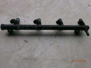 форсунка Renault Megane 2 поколение 2004, 1.4 л., i, бензин, H132254, 4191A08543