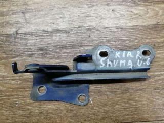 петля капота правая Kia Shuma 1 поколение 2000, 1.5 л., бензин, АКПП, хетчбэк 5 дв.