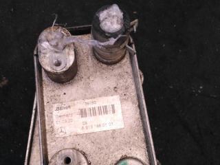 радиатор масляный Mercedes-Benz E-Класс W210/S210 [рестайлинг] 2001, 3.2 л., CDi, дизель, седан, A6131880101, 613.961, 612.963, .