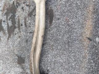 рычаг передний левый Audi A4 B8/8K [рестайлинг] 2011, бензин, 8K0407505A, ASB, BNG, BMK, BPP, BSG, .