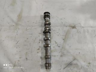 Распредвал выпускной Audi A8 D3/4E [2-й рестайлинг] 2007, 3.2 л., FSI, бензин, седан, 06E109102AL, BPK, .