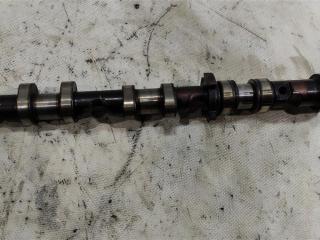 Распредвал выпускной Audi A6 4F/C6 [рестайлинг] 2009, 3.0 л., бензин, седан, 06E109102BD, CAJA, CCAA, .