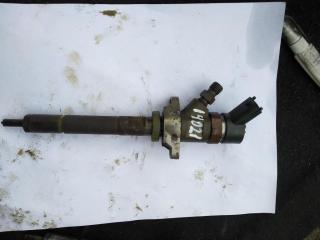 форсунка Peugeot 207 1 поколение [рестайлинг] 2010, 1.6 л., HDi, дизель, хетчбэк 5 дв., 0445110239, DV6BTED4, DV6ATED4, DV6DUM, DV6UC, DV6UTED4, .