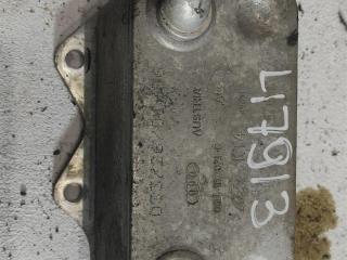 радиатор масляный Audi A4 B7 2006, 2.0 л., FSI, бензин, седан, 06D117021C, BVZ, BLR, BLX, BLY, BPJ, BWE, AXW, AXX, BWA, BMB, CDLH, CAWB, CCZA, BZC, BGB, CDMA, BWA1, CCTA, .