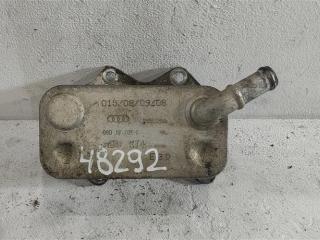 радиатор масляный Audi A4 B7 2006, 2.0 л., FSI, бензин, седан, 06D117021C, BVZ, BLR, BLX, BLY, BPJ, BWE, AXW, AXX, BWA, BMB, CDLH, CAWB, CCZA, BZC, BGB, CDMA, BWA1, CCTA, .