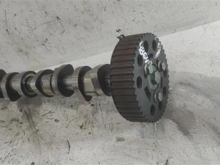 распредвал Volkswagen Transporter T5 2007, 2.0 л., TDi, дизель, фургон, BRS, AVF, AVB, BDJ, AXB, AXC, BRR, 038109101R, AWX, BDK, BXE, BPW, BLS, BKE, 038109101AH, 038109101AE, BMM, BJB, BSU, BST