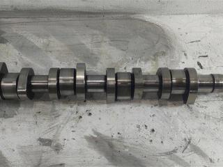 распредвал Volkswagen Transporter T5 2007, 1.9 л., TDi, дизель, фургон, BRS, AVF, AVB, BDJ, AXB, AXC, BRR, 038109101R, AWX, BDK, BXE, BPW, BLS, BKE, 038109101AH, 038109101AE, BMM, BJB, BSU, BST