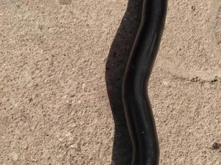 трубка охлаждающей жидкости Kia Optima 3 поколение 2012, 2.0 л., бензин, седан, 25620-2GXXX, .