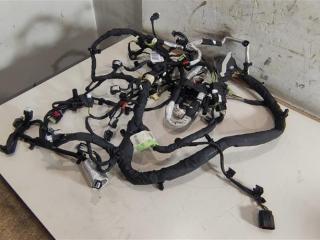 проводка двигателя Ford Ranger 4 поколение 2020, 2.3 л., бензин, внедорожник 5 дв., ECOBOOST, KU5T12C508NF, .