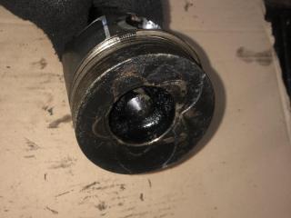 поршень Renault Laguna 1 поколение [рестайлинг] 2000, 1.9 л., DTi, дизель, хетчбэк 5 дв., F9Q.710, .