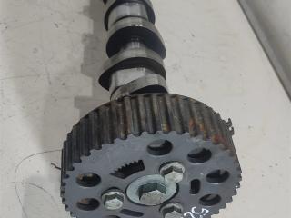 распредвал Volkswagen Transporter T5 2007, 1.9 л., TDi, дизель, фургон, BRS, AVF, AVB, BDJ, AXB, AXC, BRR, 038109101R, AWX, BDK, BXE, BPW, BLS, BKE, 038109101AH, 038109101AE, BMM, BJB, BSU, BST