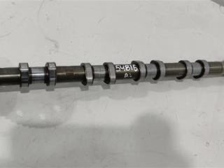 Распредвал выпускной Volkswagen Passat B6 2009, 1.8 л., TSI, бензин, седан, CDA, CAW, CCT, CDH, BZB, CCZ, CAWB, CDAB, CDAA, .