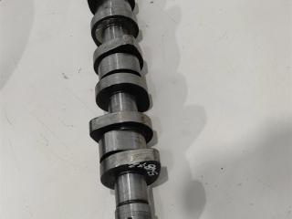 распредвал Volkswagen Transporter T5 2007, 1.9 л., TDi, дизель, микроавтобус, BRS, AVF, AVB, BDJ, AXB, AXC, BRR, BMP, AWX, BDK, BXE, BPW, BLS, BKE, BMM, BJB, BSU, BST