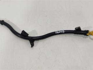 щуп двигателя Volkswagen Passat B6 2009, 2.0 л., TDi, дизель, седан, 03L103634J, 03L103634M, 03L115611T, 03L115611J, CFFA, CFFB, CFGB, CLLA, CFGC