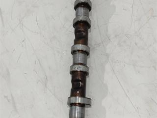 распредвал Audi A6 4F/C6 2006, 2.0 л., бензин, универсал, BVZ, BVY, BPY, BVX, BWA, 06F109102B