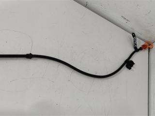 щуп двигателя Volkswagen Polo 4 поколение 2003, 1.2 л., бензин, BME, AZQ, BMD, 03E115629C, AWY, .