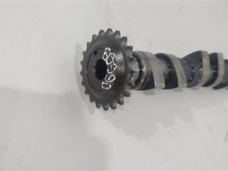 Распредвал выпускной Volkswagen Passat B5 [рестайлинг] 2002, 1.8 л., бензин, седан, AWT, AWM, AMB, ANB, APU, AWC, AUG, AVJ, AEB, APT, APX, BFB, BAM, AJH, AUQ, BEX, ADR, AWU, AWV, BKF, AVV, AWP