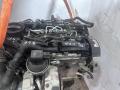 двигатель Volkswagen Tiguan 1 поколение [рестайлинг] 2015, 2.0 л., TDi, дизель, CNE, CKU, CKT, CSH, CAA, CDC, CNF, CLCA, CLJA, CLJ, CLC, CDB, CKUB, CAAA, CAAB, CAAC, CAAD, CAAE, CLCB, CGL, CKTB, CKTC, CSNA, ., CSL, CDBA, CDCA, CNEA, CSHA, CSN - фото №11