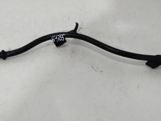 щуп двигателя Volkswagen Passat B6 2009, 2.0 л., TDi, дизель, седан, 03L103634J, 03L103634M, 03L115611T, 03L115611J, CFFA, CFFB, CFGB, CLLA, CFGC