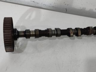 Распредвал выпускной Audi A6 4B/C5 [рестайлинг] 2002, 1.8 л., бензин, седан, AWT, AWM, AMB, ANB, APU, AWC, AUG, AVJ, AEB, APT, APX, BFB, BAM, AJH, AUQ, BEX, ADR, AWU, AWV, BKF, AVV, AWP