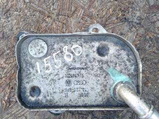 радиатор масляный Audi A4 B7 2006, 2.0 л., бензин, седан, 06B117021, ALT, AWA, .