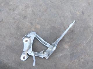 петля капота правая Skoda Superb 2 поколение 2011, 1.8 л., бензин, хетчбэк 5 дв., 3T0823302B, .