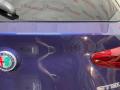 крышка багажника (дверь 3-5) Alfa Romeo Stelvio 1 поколение 2018, 2.0 л., бензин, АКПП - фото №8