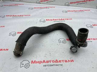 патрубок радиатора Ford Escape 4 поколение CX482 2020, 1.5 л., бензин, АКПП, LX618B273AAD