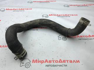 патрубок радиатора Ford Escape 4 поколение CX482 2020, 1.5 л., бензин, АКПП, LX618B273AAD
