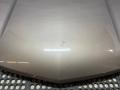 капот Chevrolet Equinox 3 поколение 2018, 1.5 л., бензин, АКПП - фото №11