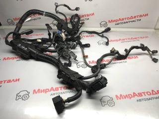 проводка двигателя Honda Accord 10 поколение 2018, 1.5 л., бензин, АКПП, 321106A0A71122