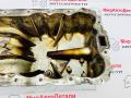 масляный поддон Chevrolet Cruze 1 поколение (2009 - 2012), 1.4 л., бензин, 25196122, 25196123 - фото №5